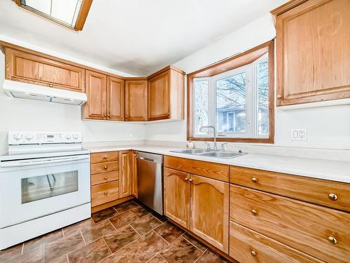 12241 95 Street, Edmonton, AB - Indoor Photo Showing Kitchen With Double Sink