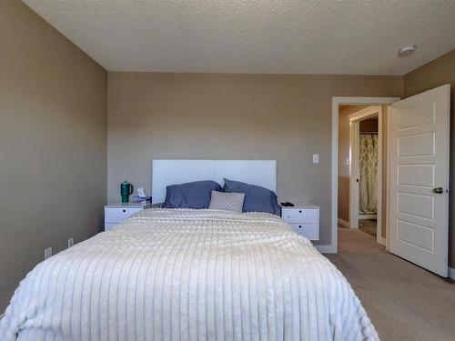 17095 38 Street, Edmonton, AB - Indoor Photo Showing Bedroom