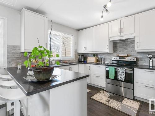 10441 79 Street, Edmonton, AB - Indoor Photo Showing Kitchen With Double Sink