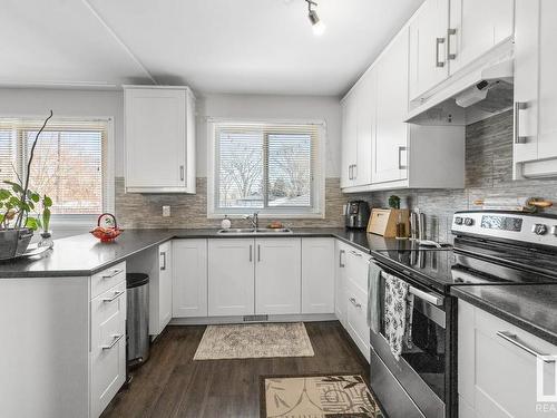 10441 79 Street, Edmonton, AB - Indoor Photo Showing Kitchen With Double Sink With Upgraded Kitchen