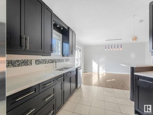 1 17839 99 Street, Edmonton, AB - Indoor Photo Showing Kitchen With Double Sink