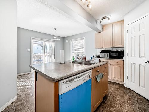 3320 20 Street, Edmonton, AB - Indoor Photo Showing Kitchen With Double Sink