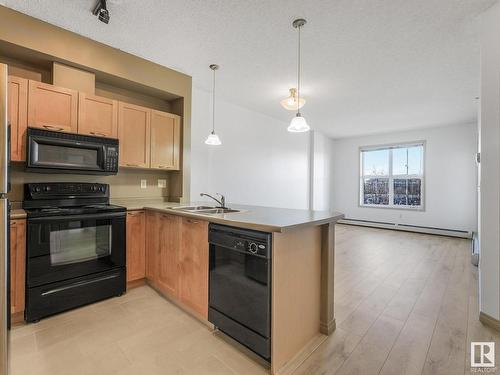 1-215 4245 139 Avenue, Edmonton, AB - Indoor Photo Showing Kitchen With Double Sink