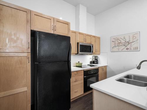 102 10123 112 Street, Edmonton, AB - Indoor Photo Showing Kitchen With Double Sink