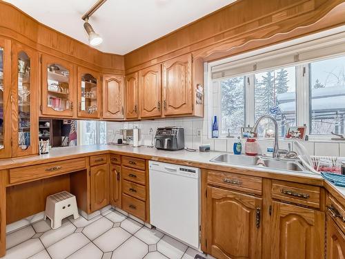 15756 106 Street, Edmonton, AB - Indoor Photo Showing Kitchen With Double Sink