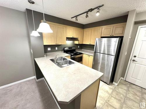 205 616 Mcallister Loop, Edmonton, AB - Indoor Photo Showing Kitchen With Double Sink