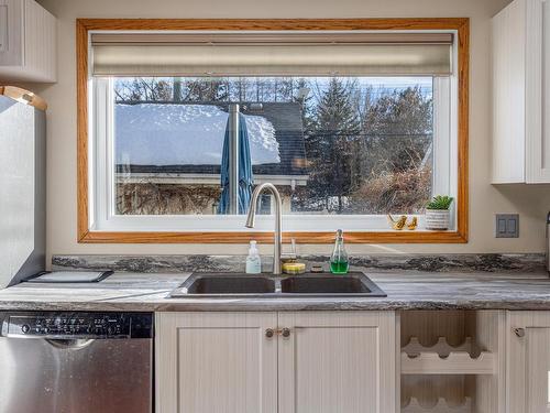 9309 98 Avenue, Edmonton, AB - Indoor Photo Showing Kitchen With Double Sink