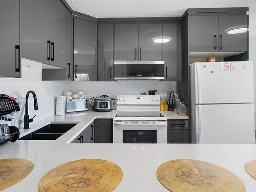 10255 159 Street, Edmonton, AB - Indoor Photo Showing Kitchen With Double Sink With Upgraded Kitchen