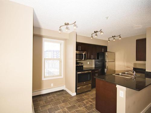 201 12025 22 Avenue, Edmonton, AB - Indoor Photo Showing Kitchen With Double Sink