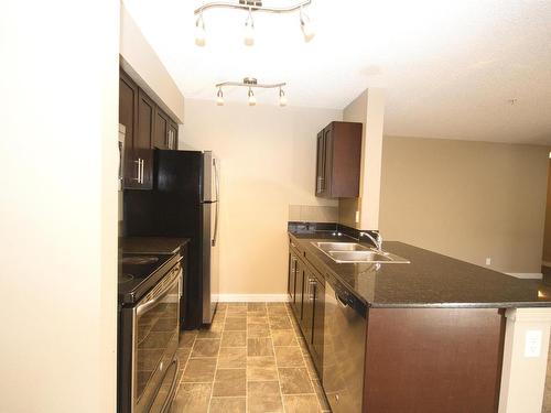 201 12025 22 Avenue, Edmonton, AB - Indoor Photo Showing Kitchen With Double Sink