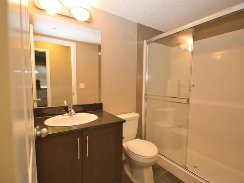 201 12025 22 Avenue, Edmonton, AB - Indoor Photo Showing Bathroom