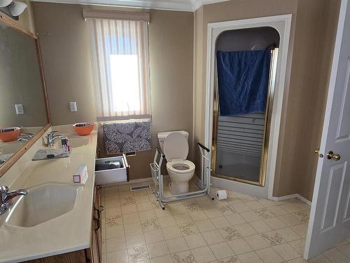 12223 63 Street, Edmonton, AB - Indoor Photo Showing Bathroom