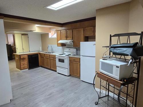 12223 63 Street, Edmonton, AB - Indoor Photo Showing Kitchen With Double Sink