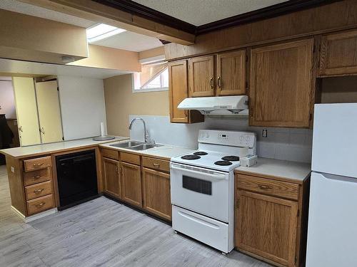 12223 63 Street, Edmonton, AB - Indoor Photo Showing Kitchen With Double Sink