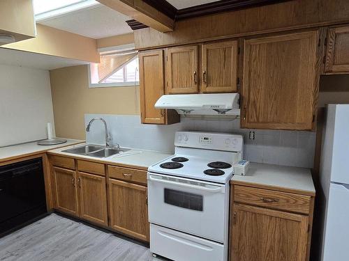 12223 63 Street, Edmonton, AB - Indoor Photo Showing Kitchen With Double Sink