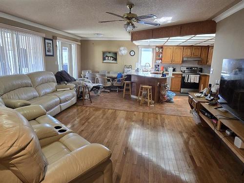 12223 63 Street, Edmonton, AB - Indoor Photo Showing Living Room