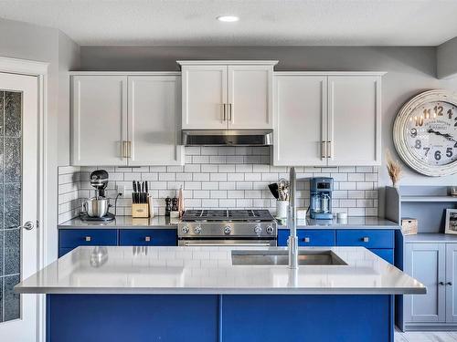 1222 Mcallister Way, Edmonton, AB - Indoor Photo Showing Kitchen With Double Sink With Upgraded Kitchen