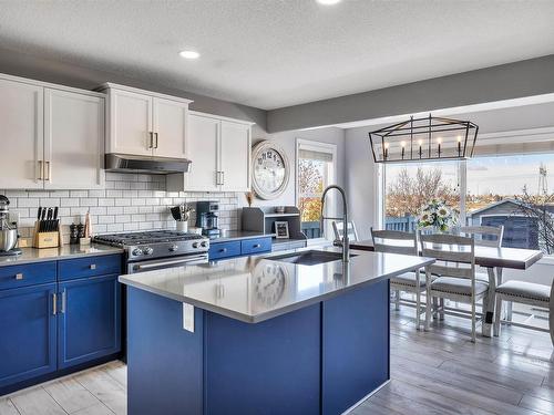 1222 Mcallister Way, Edmonton, AB - Indoor Photo Showing Kitchen With Double Sink With Upgraded Kitchen