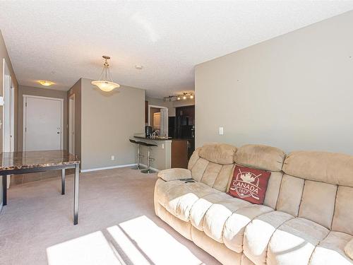 215 5816 Mullen Place, Edmonton, AB - Indoor Photo Showing Living Room