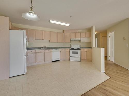 244 13441 127 Street, Edmonton, AB - Indoor Photo Showing Kitchen