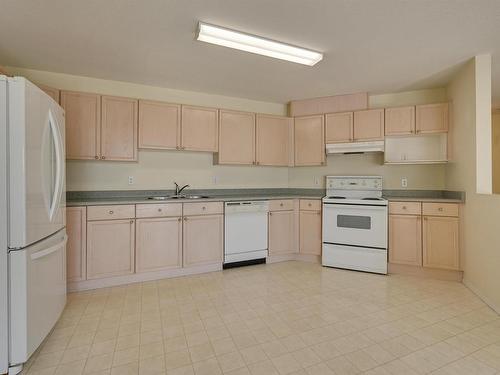 244 13441 127 Street, Edmonton, AB - Indoor Photo Showing Kitchen With Double Sink