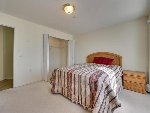 244 13441 127 Street, Edmonton, AB - Indoor Photo Showing Bedroom