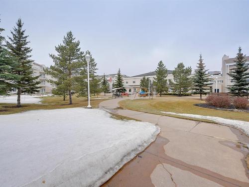 244 13441 127 Street, Edmonton, AB - Outdoor With View