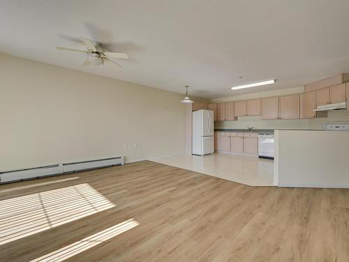 244 13441 127 Street, Edmonton, AB - Indoor Photo Showing Kitchen