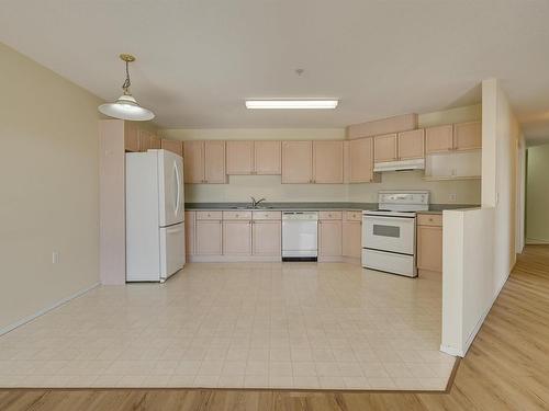 244 13441 127 Street, Edmonton, AB - Indoor Photo Showing Kitchen