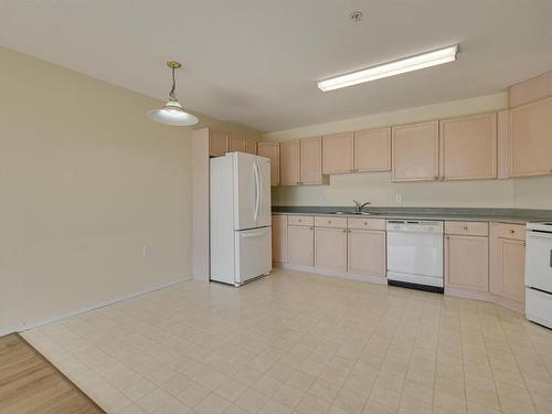 244 13441 127 Street, Edmonton, AB - Indoor Photo Showing Kitchen With Double Sink