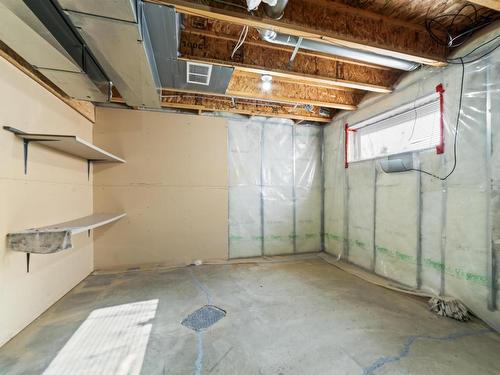 50 2503 24 Street, Edmonton, AB - Indoor Photo Showing Basement