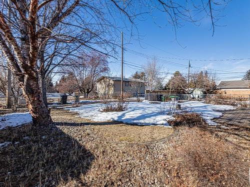 9216 86 Street, Edmonton, AB - Outdoor With View