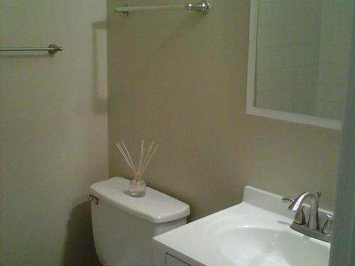 788 Saddleback Road, Edmonton, AB - Indoor Photo Showing Bathroom