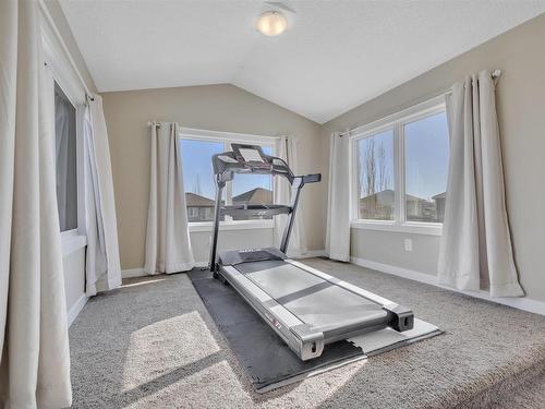 770 Lewis Greens Drive, Edmonton, AB - Indoor Photo Showing Gym Room