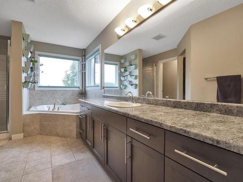 770 Lewis Greens Drive, Edmonton, AB - Indoor Photo Showing Bathroom