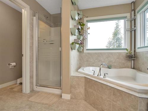 770 Lewis Greens Drive, Edmonton, AB - Indoor Photo Showing Bathroom