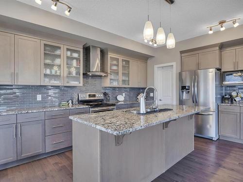 770 Lewis Greens Drive, Edmonton, AB - Indoor Photo Showing Kitchen With Upgraded Kitchen