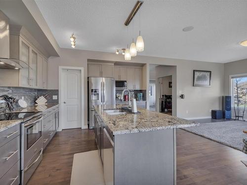 770 Lewis Greens Drive, Edmonton, AB - Indoor Photo Showing Kitchen With Upgraded Kitchen