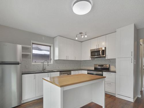 10619 81 Street, Edmonton, AB - Indoor Photo Showing Kitchen With Double Sink