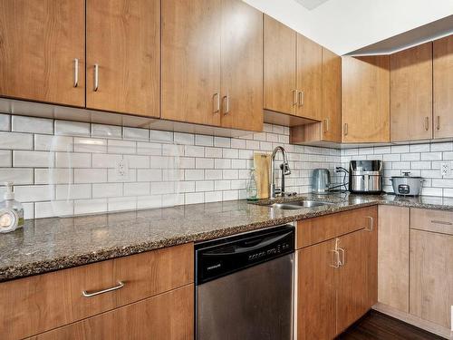 209 10518 113 Street, Edmonton, AB - Indoor Photo Showing Kitchen With Double Sink