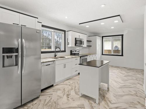 2432 117 Street, Edmonton, AB - Indoor Photo Showing Kitchen With Stainless Steel Kitchen With Upgraded Kitchen