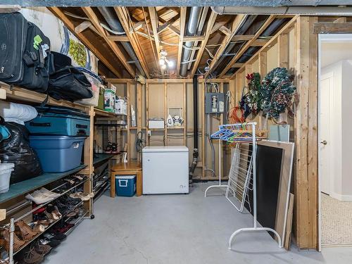 173 Royal Road, Edmonton, AB - Indoor Photo Showing Basement