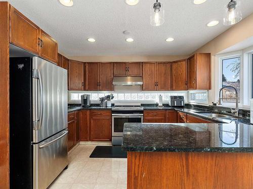 4340 28A Street, Edmonton, AB - Indoor Photo Showing Kitchen With Stainless Steel Kitchen With Double Sink