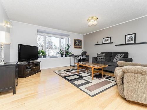 10616 145 Street, Edmonton, AB - Indoor Photo Showing Living Room