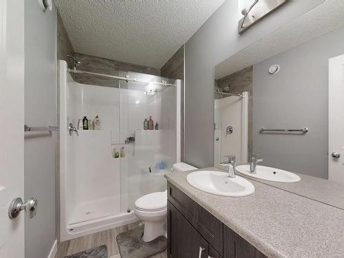 252 41 Avenue, Edmonton, AB - Indoor Photo Showing Bathroom