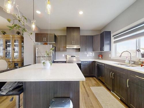 252 41 Avenue, Edmonton, AB - Indoor Photo Showing Kitchen With Double Sink With Upgraded Kitchen