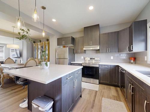 252 41 Avenue, Edmonton, AB - Indoor Photo Showing Kitchen With Stainless Steel Kitchen With Upgraded Kitchen