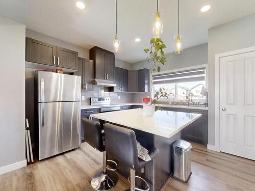 252 41 Avenue, Edmonton, AB - Indoor Photo Showing Kitchen With Stainless Steel Kitchen