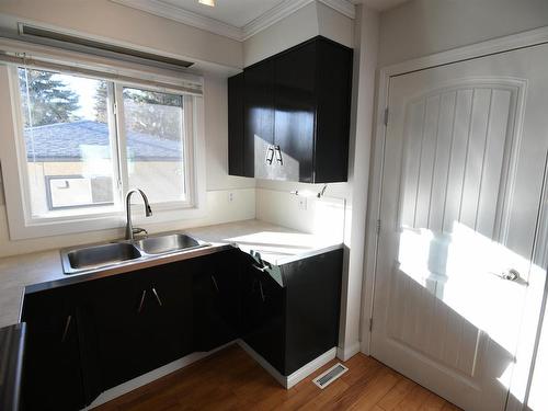 13512 112 Street, Edmonton, AB - Indoor Photo Showing Kitchen With Double Sink