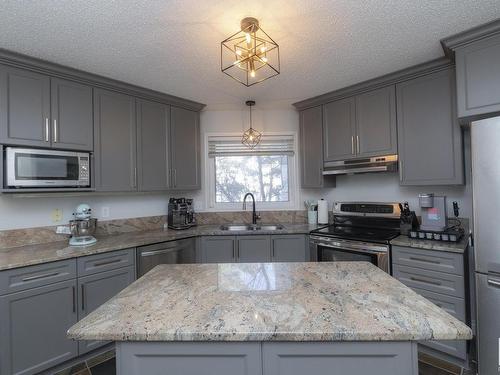 42 1295 Carter Crest Road, Edmonton, AB - Indoor Photo Showing Kitchen With Double Sink With Upgraded Kitchen